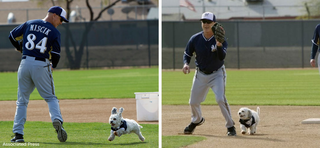 baseball players with sunglasses