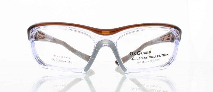 OnGuard Safety Glasses